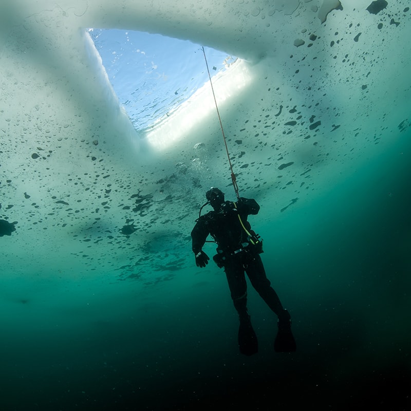 <p>Ice divers access the water through holes cut in the sea ice  (Credit: Kondratuk Aleksei/Shutterstock)</p>